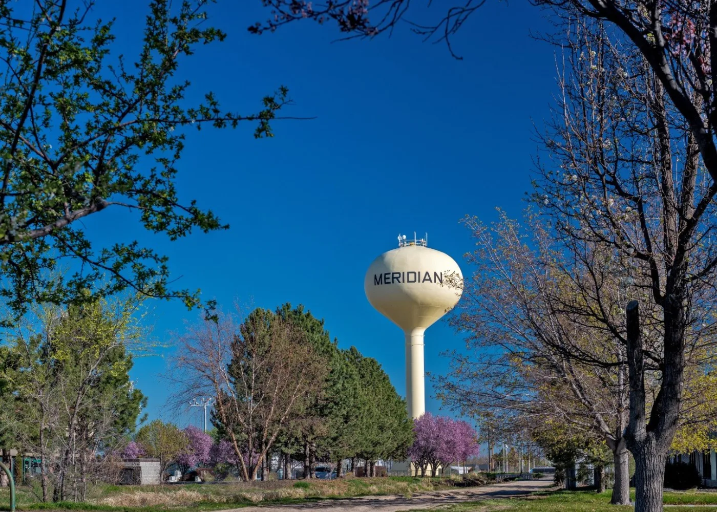 Meridian